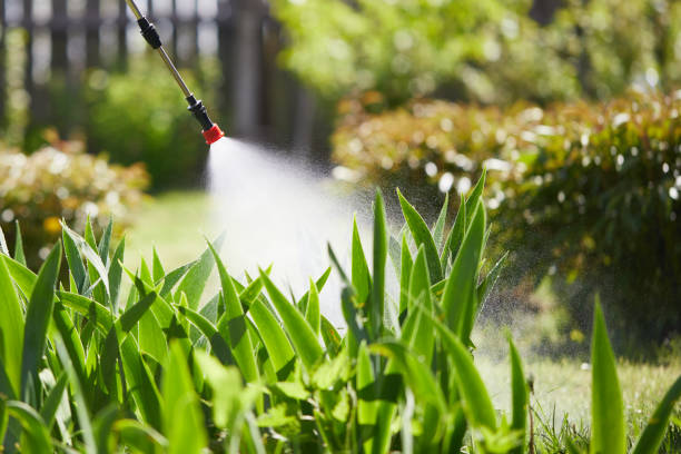 24/7 Emergency Ant Control experts in Lynchburg, VA