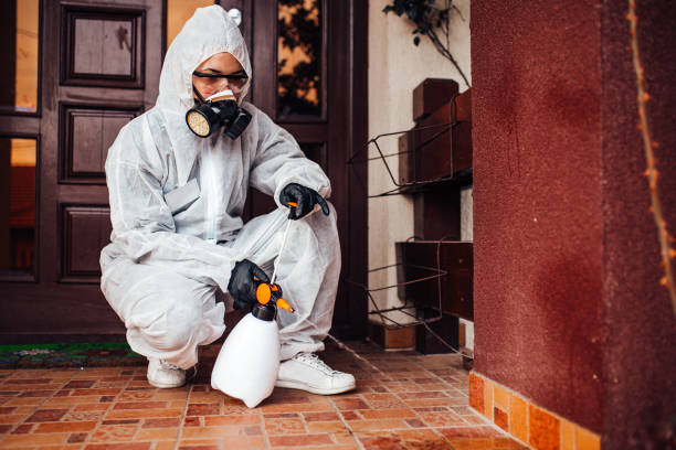 Reliable Ant Control contractor in Lynchburg, VA by Nex Pest Control