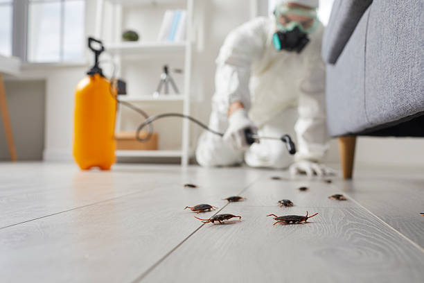 Trusted Bed Bug Control service in Lynchburg, VA - Nex Pest Control