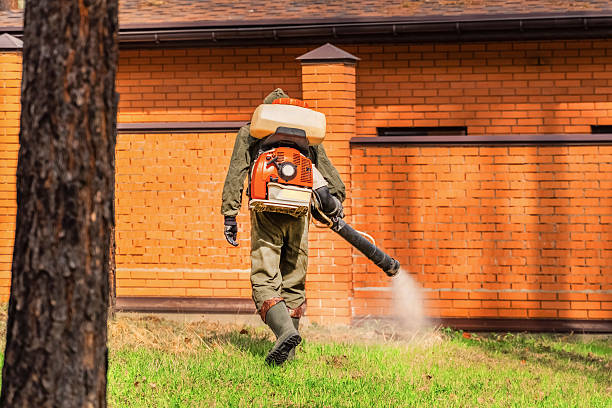 Trusted Emergency Pest Control service in Lynchburg, VA - Nex Pest Control